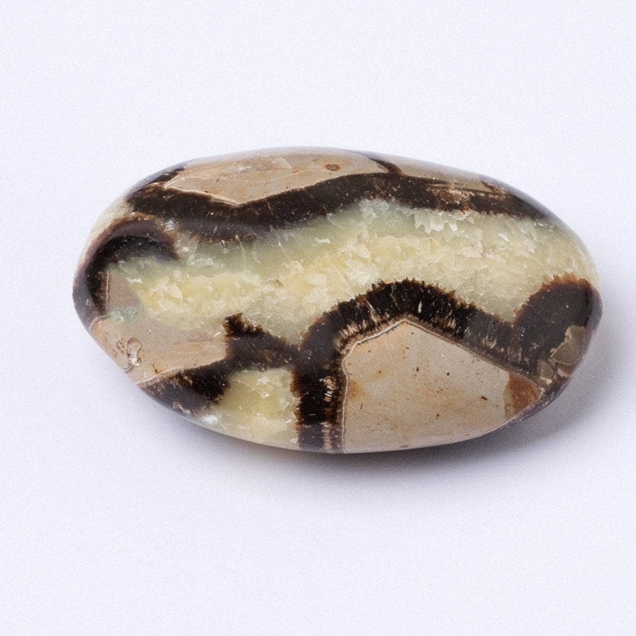 Black Septarian Palm Stones - AAA Premium Quality、mySite、hinf8tx79