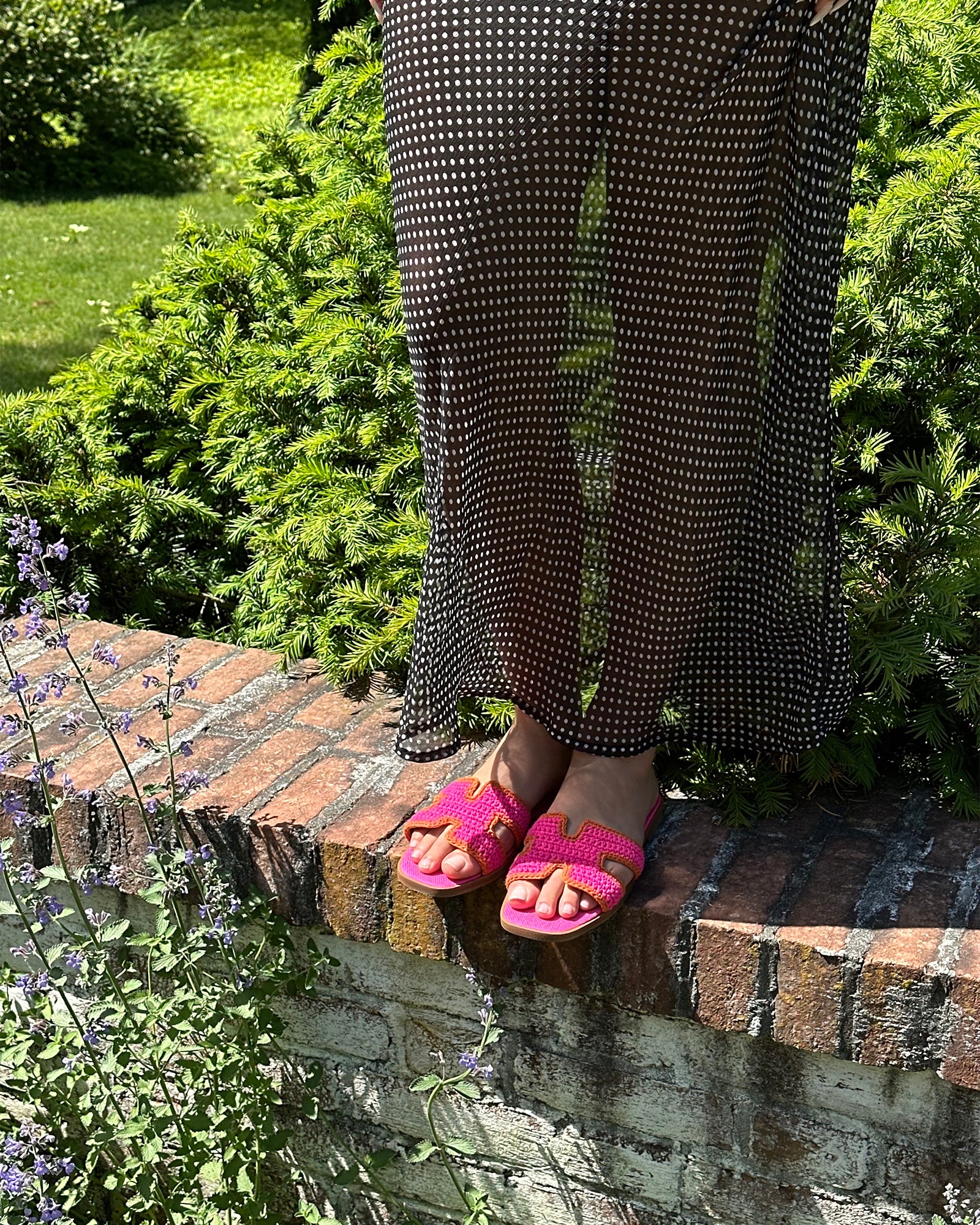 HADYN PINK MULTI、mySite、gtrtttuynbv