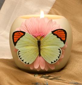 Orange Tip Butterfly on Pink Daisy Ibis and Orchid Votive Candle、mySite、g9winljtr