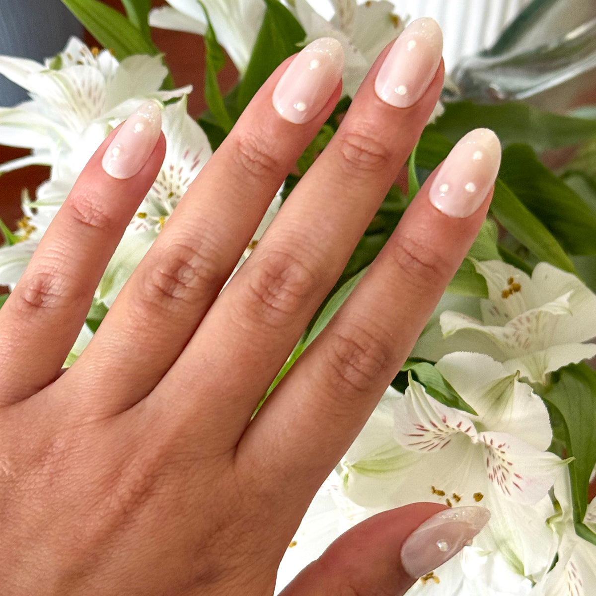 True Pearl French - Press-On | Medium | Oval、mySite、solidvoid