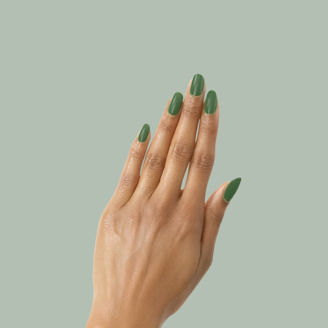 Geometry、mySite、solidvoid