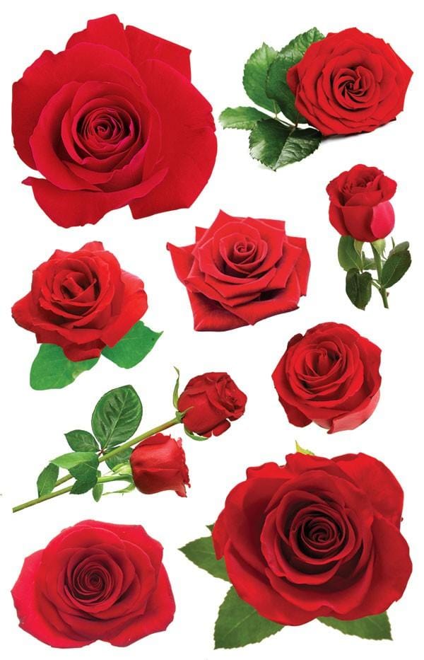 Scrapbook Stickers - 3D Roses、mySite、ghnorth