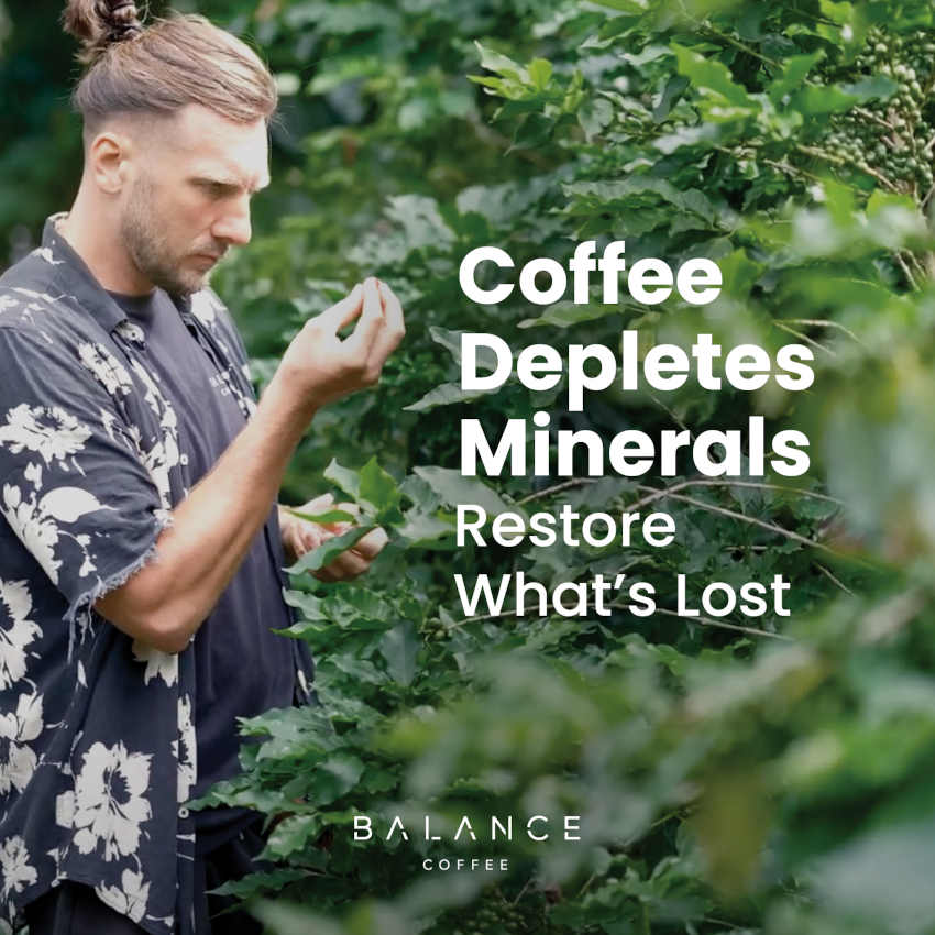 Free Guide: Coffee Depletes Minerals: James�� Hack to Restore What��s Lost、mySite、gigharbornorthrealestate