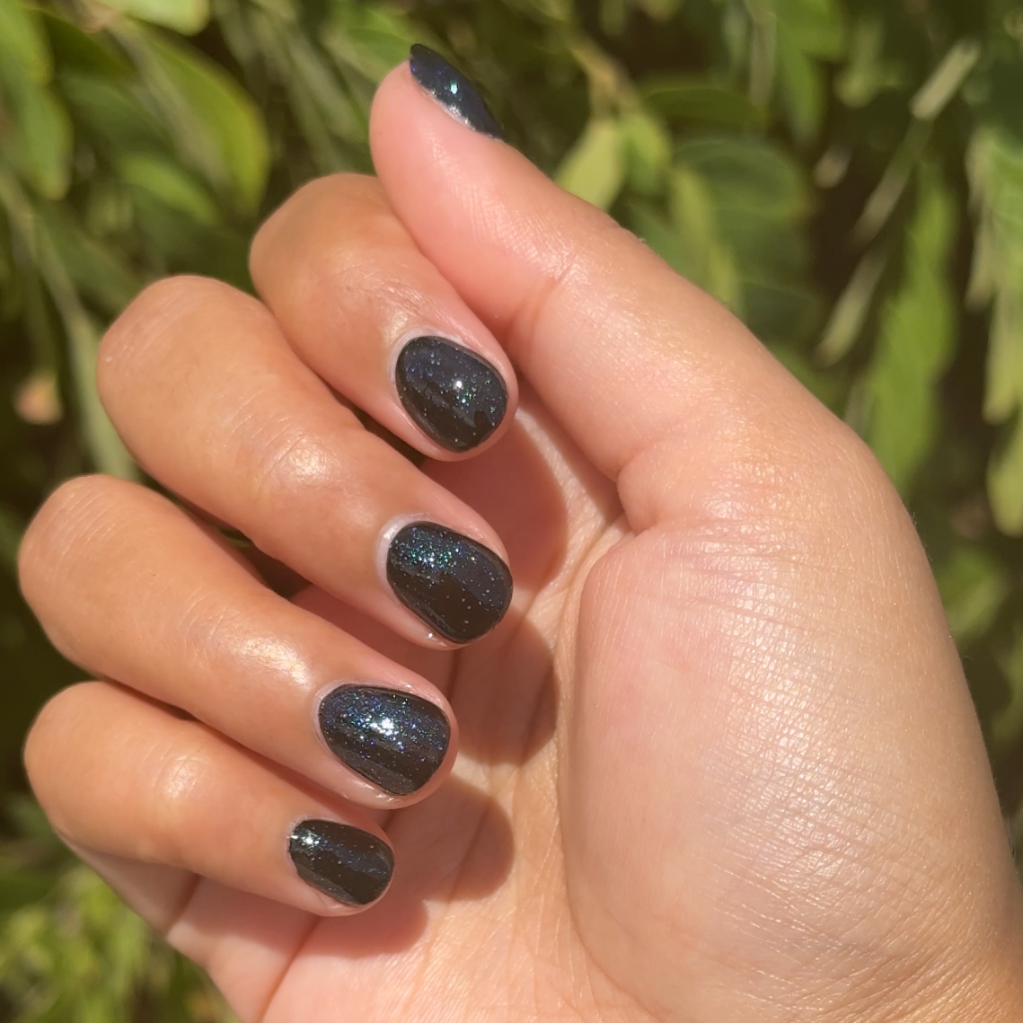 Meteor Shower、mySite、solidvoid