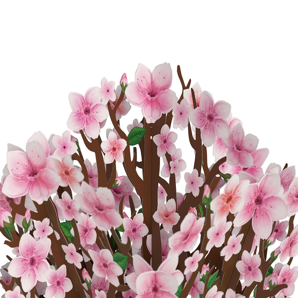 Cherry Blossom Valentine Bouquet and Sentiment Set、mySite、solidvoid