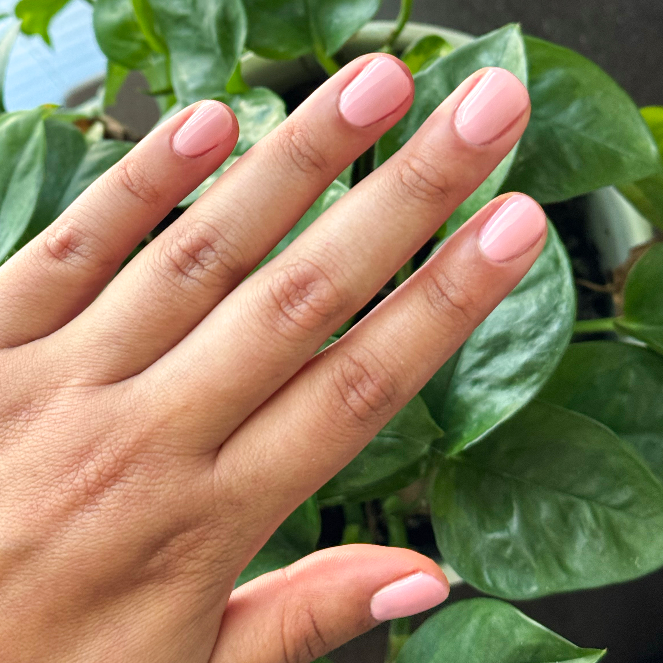 Saltwater Taffy - Gel、mySite、solidvoid