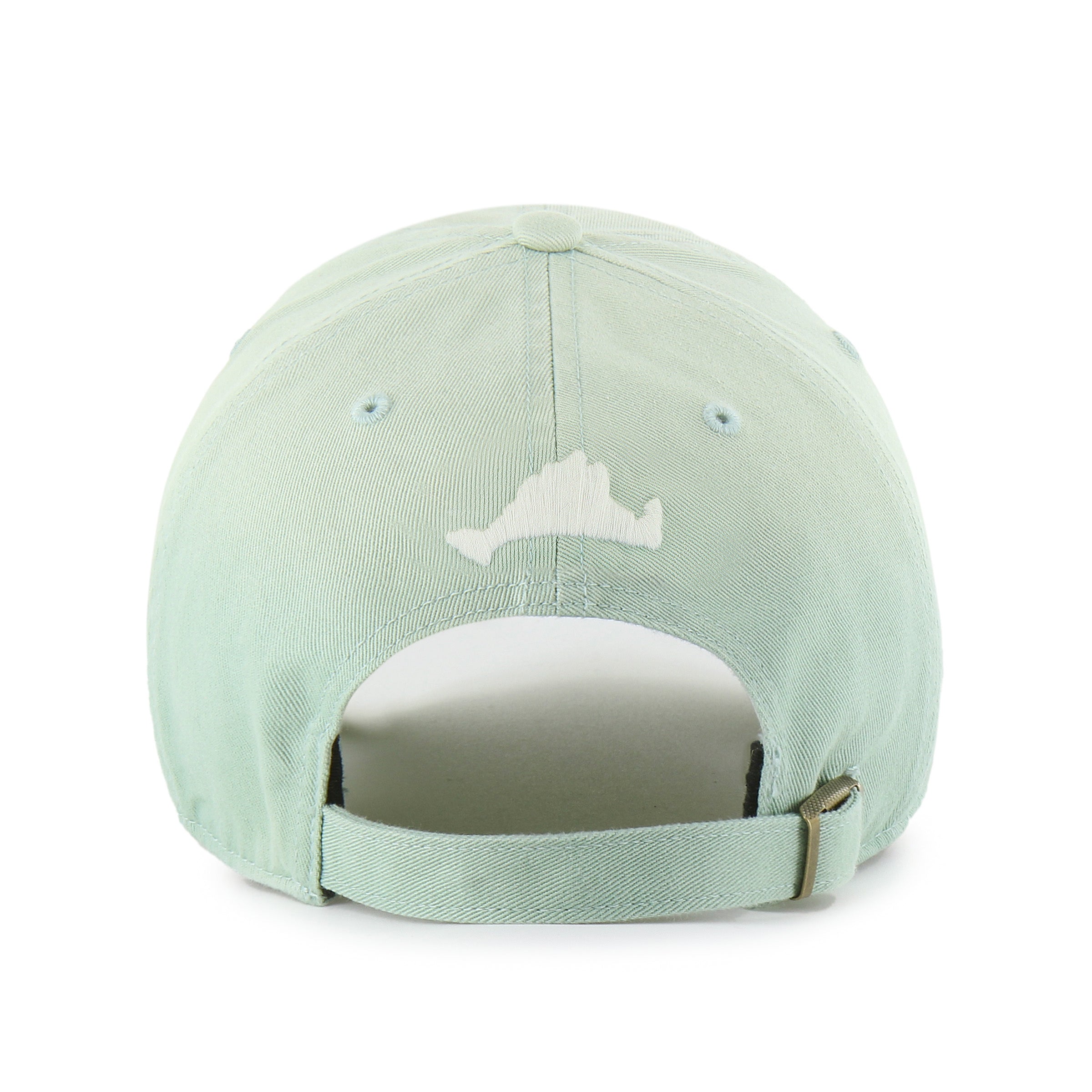 MARTHAS VINEYARD DESTINATION '47 CLEAN UP、mySite、vikingsvslions