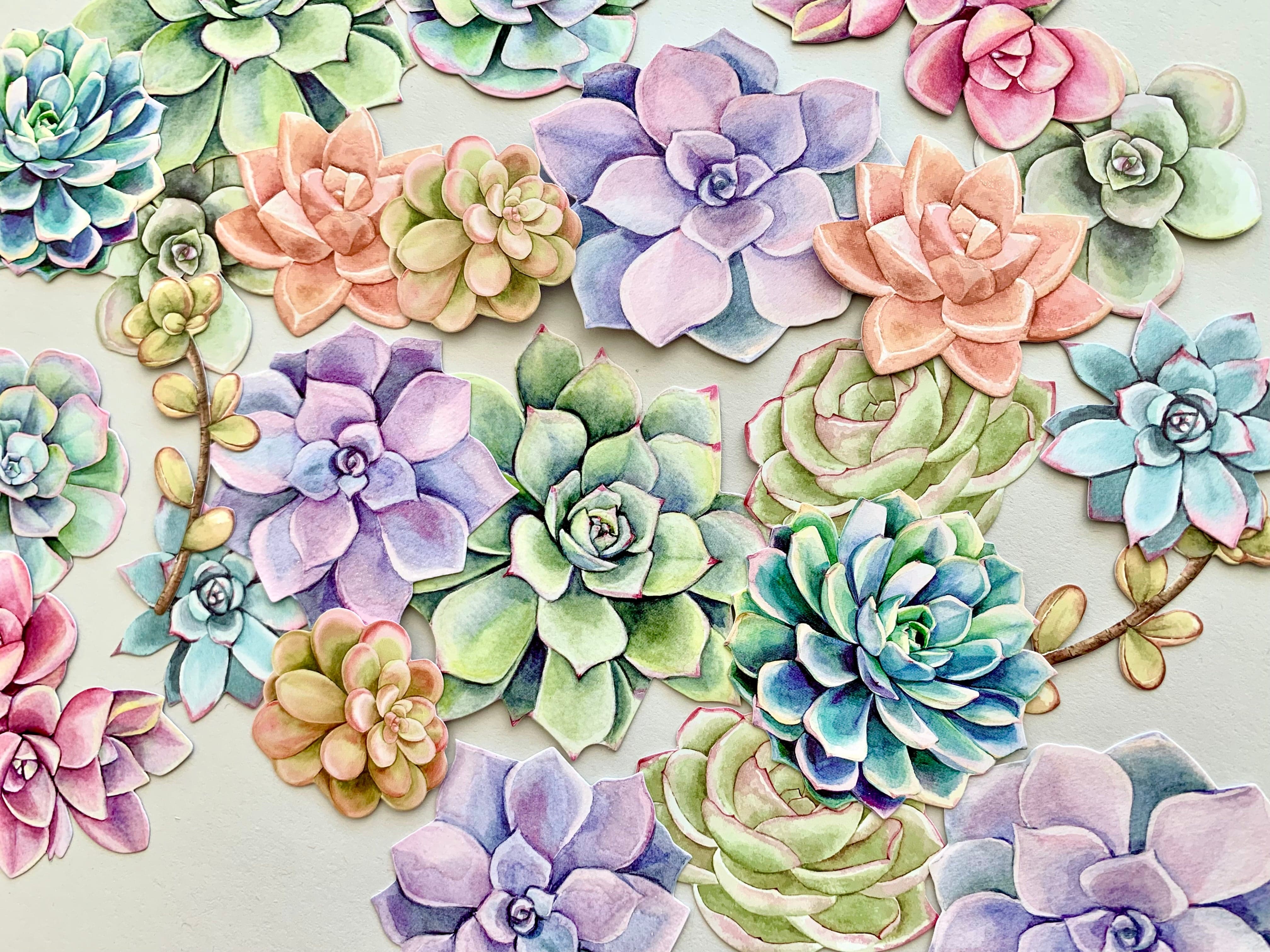  Scrapbook Stickers - Succulents Die Cut Sticker Pack、mySite、ghnorth
