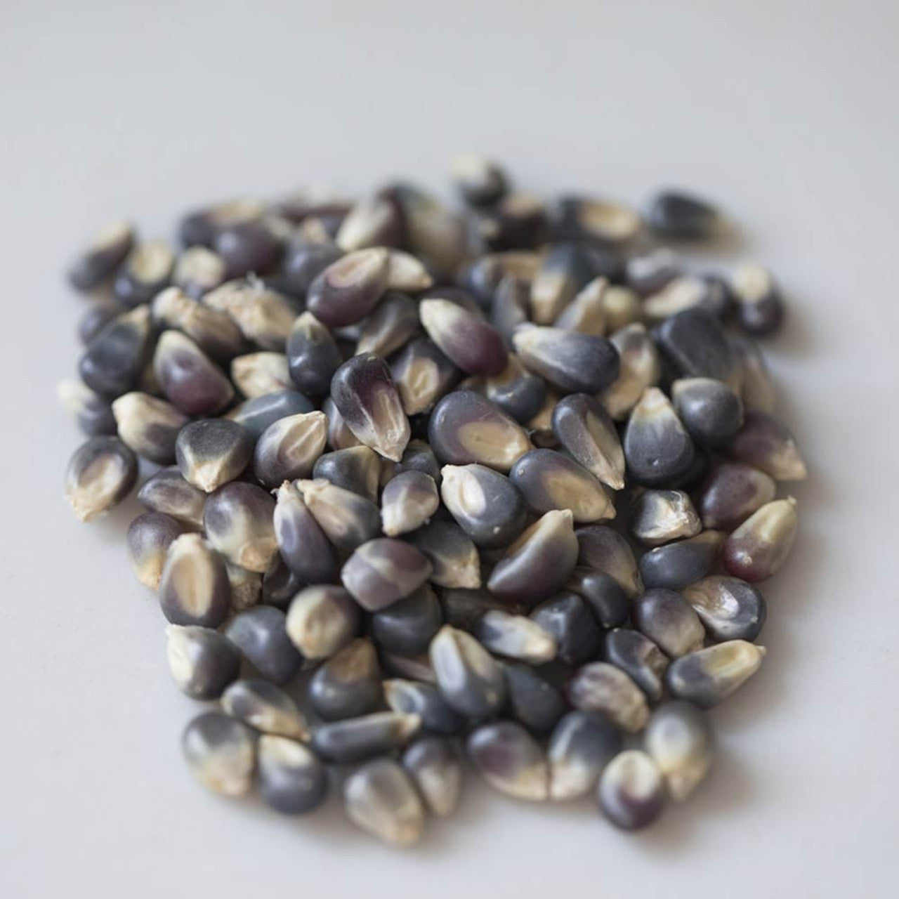 Amish Country Popcorn、mySite、garagedoors4me