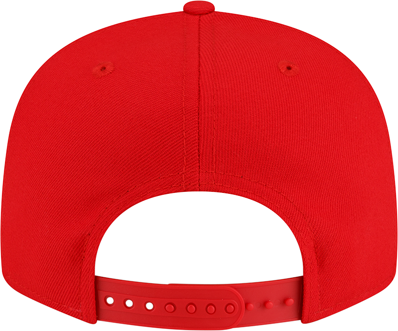 Raptors 905 Men's 950 Logo Snapback Hat