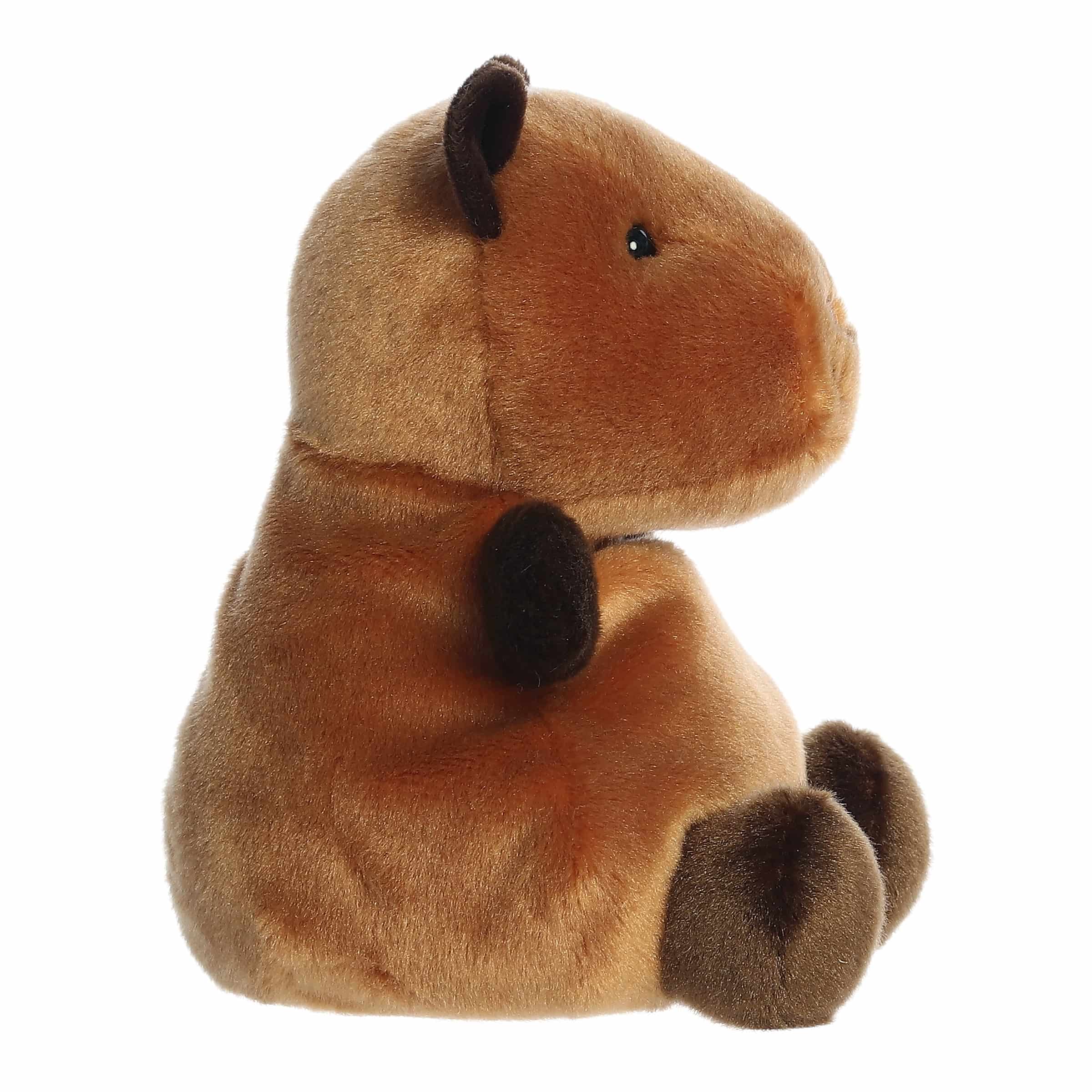 Aurora® - Palm Pals™ - Party Sized - 8 Sid Capybara™、mySite、g9winljtr
