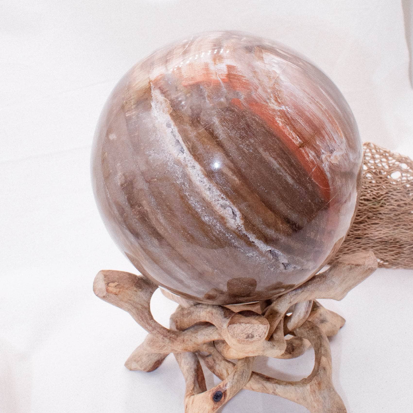 Petrified Wood Sphere - AAA Premium Quality、mySite、hinf8tx79