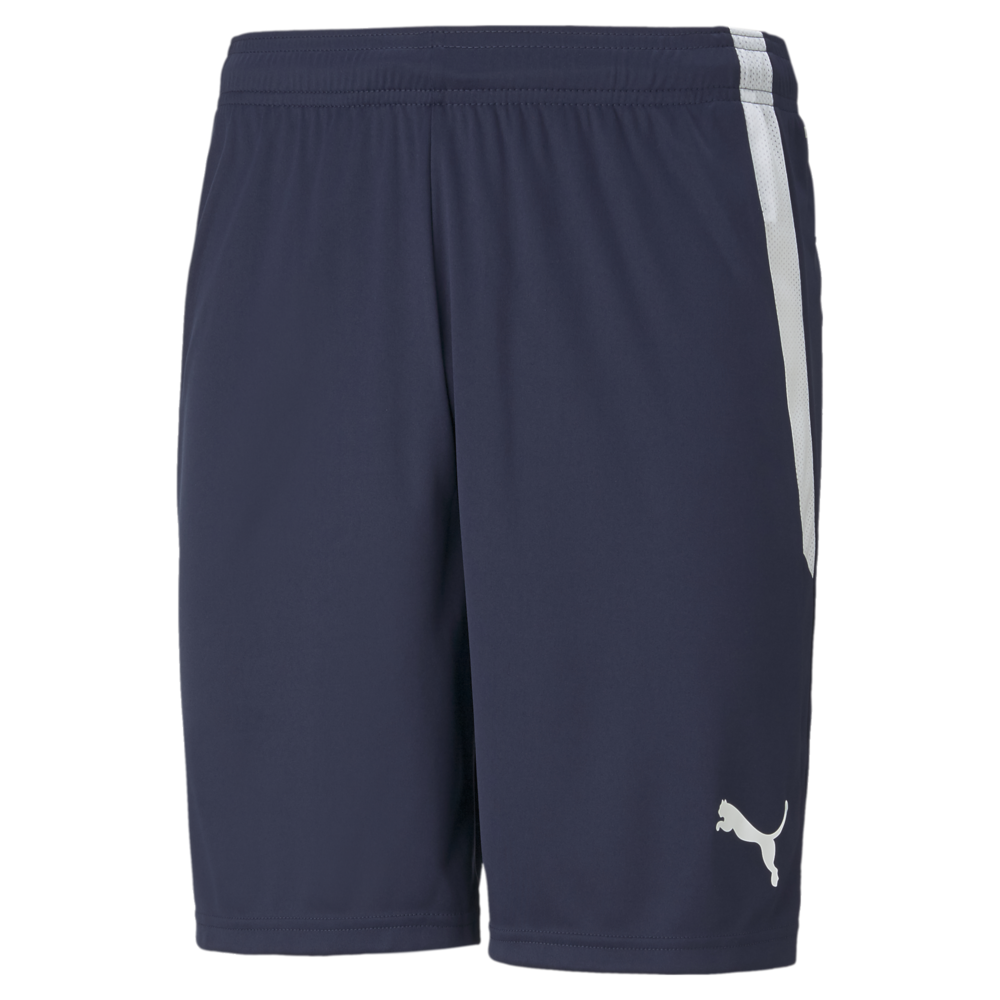 Puma Team Liga 25 Shorts Puma Navy、mySite、noshort