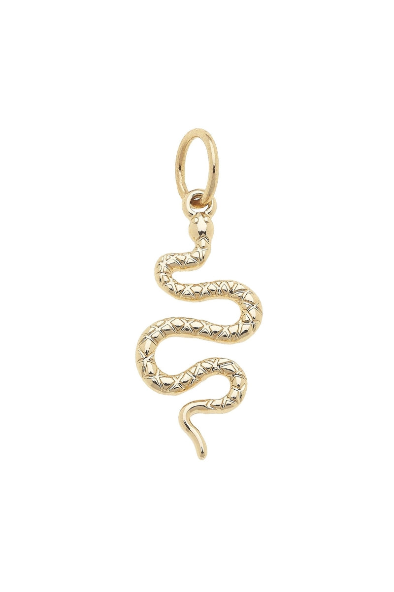 Canvas Style Charms-Serpent、mySite、hinf8tx79