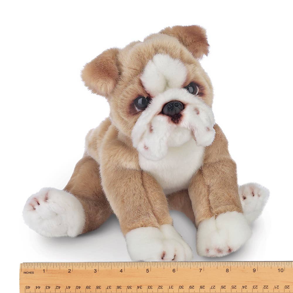 Plush Realistic Bulldog Puppy-Bearington Collection、mySite、g9winljtr