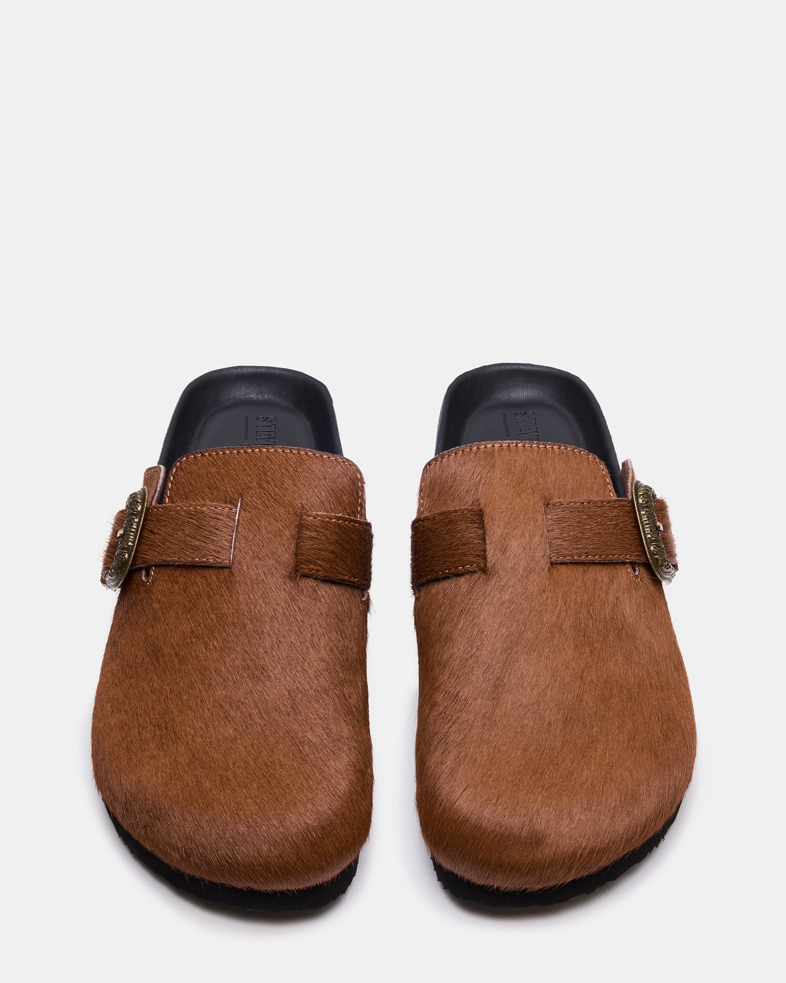 WOOLY CHESTNUT、mySite、gtrtttuynbv