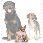 Mighty Safari Plush Pig Durable Dog Toys *、mySite、g9winljtr