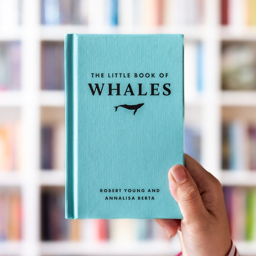 The Little Book of Whales、mySite、topwebapps