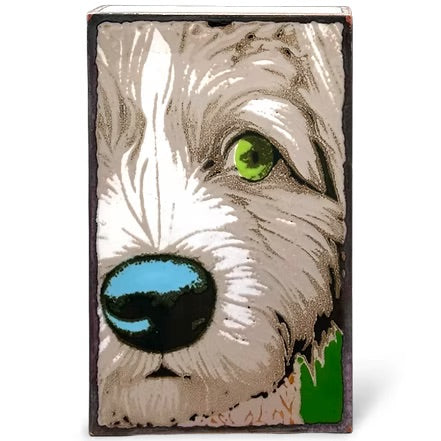 283: LlewLlew、mySite、g9winljtr