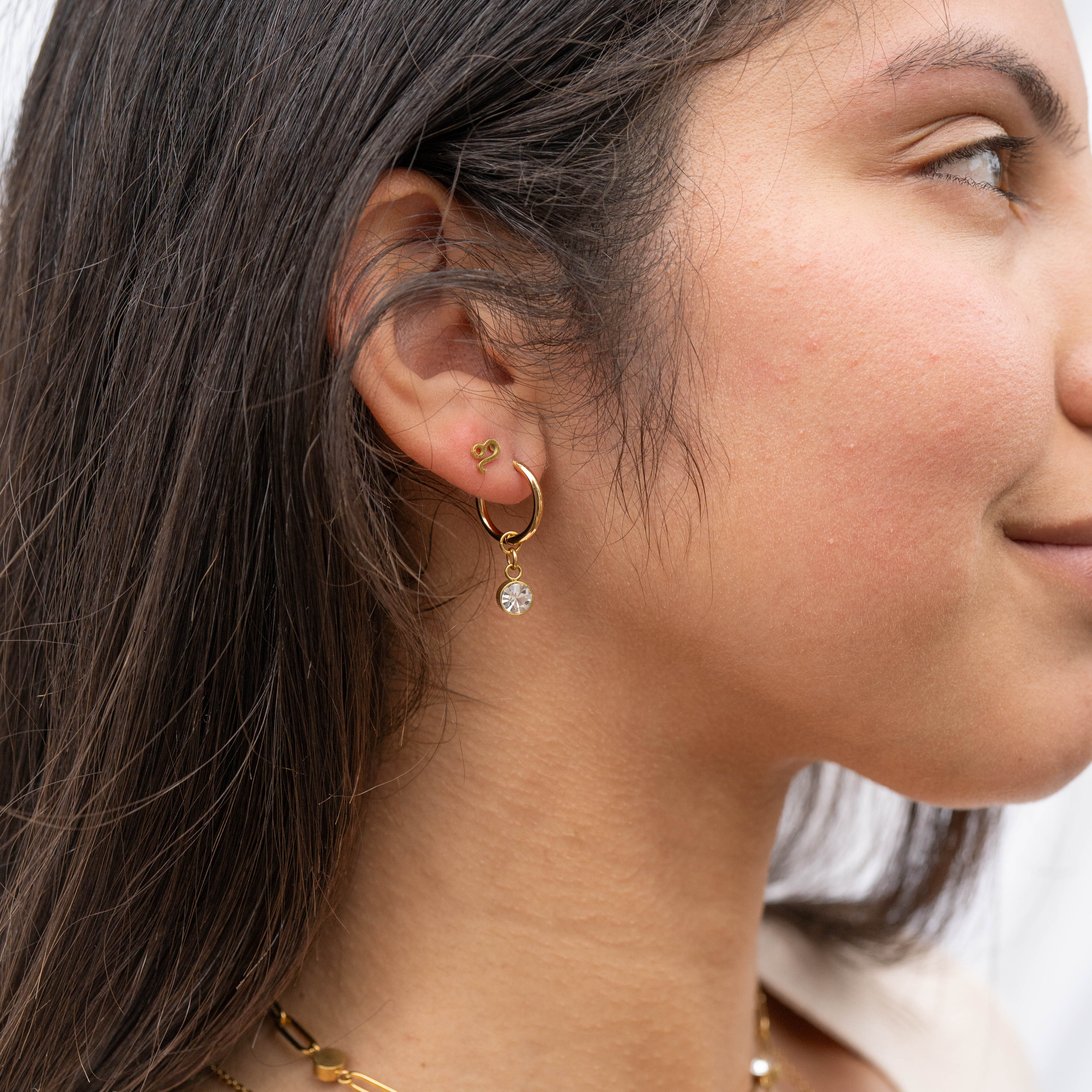 18K Gold PVD Stainless Steel Zodiac Stud Earrings / ERJ0059、mySite、dreamappss