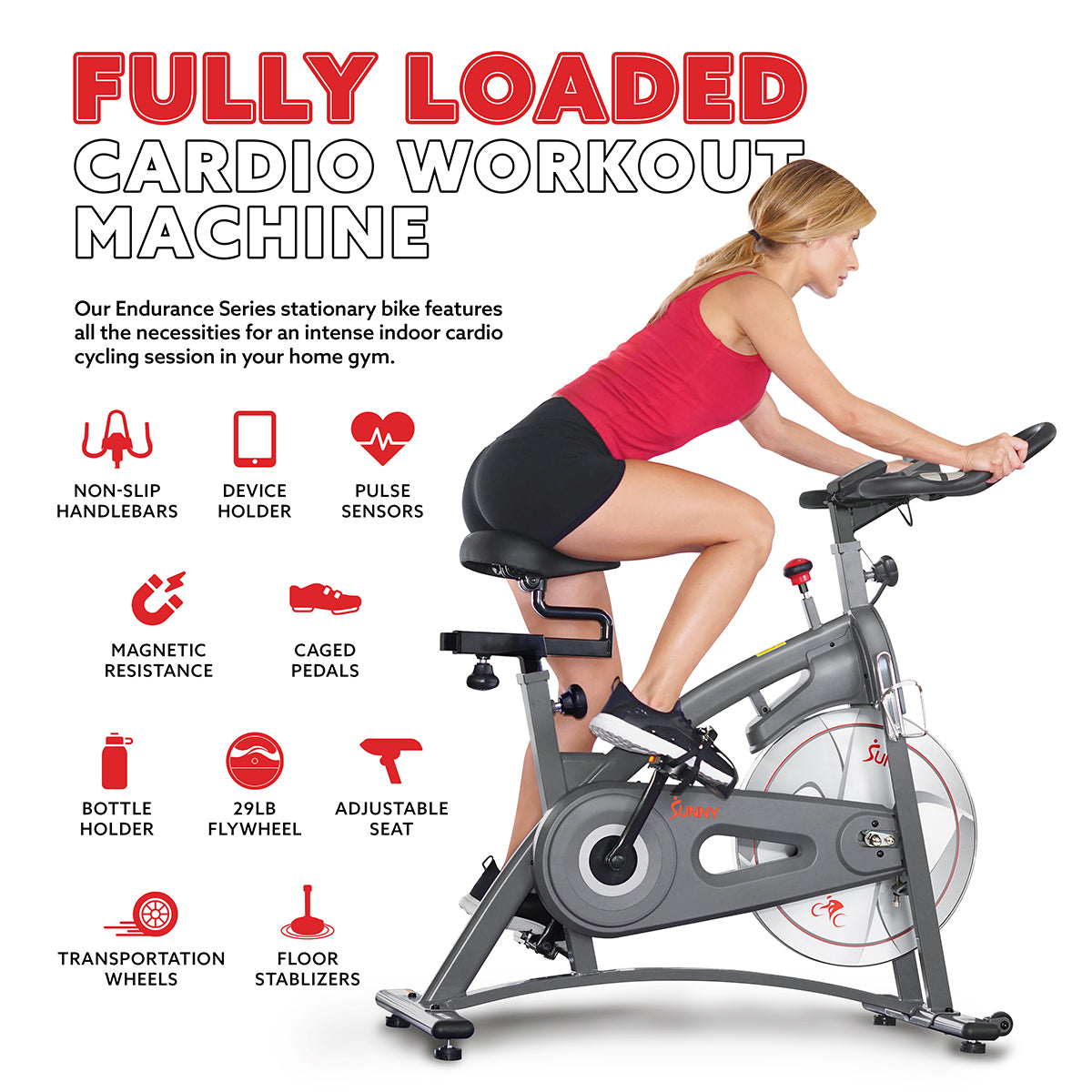  Endurance Belt Drive Magnetic Indoor Exercise Cycle Bike、mySite、ghnorth