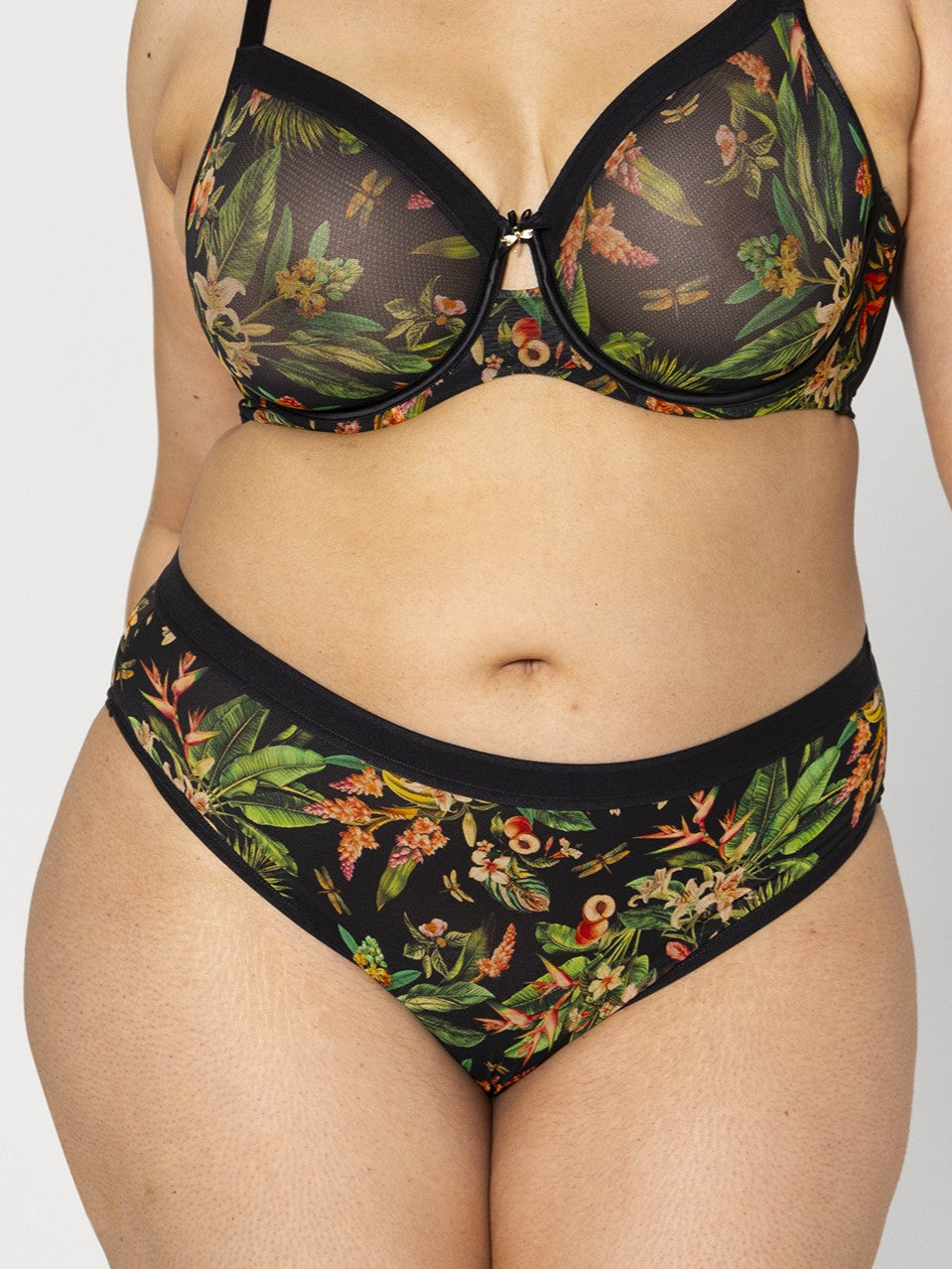  Sheer mesh brief Dragonfly、mySite、sugarbowlscore