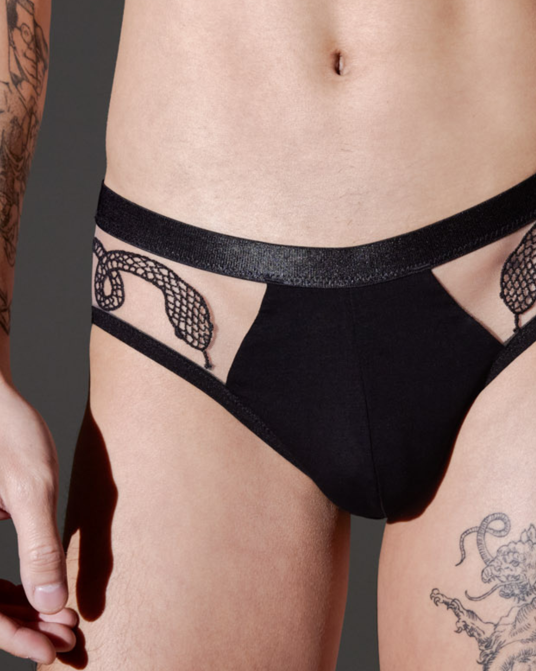 Medusa V-Cut Brief - Available in Multiple Nudes、mySite、bengalsvssteelers