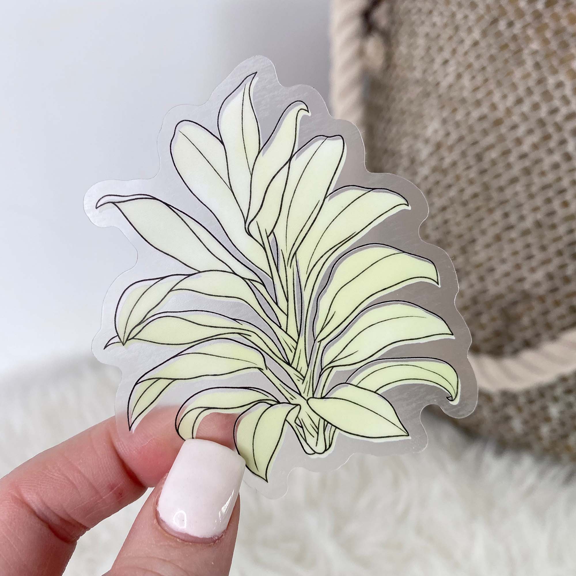  Cordyline Fruticosa Watercolor - Clear Sticker、mySite、ghnorth