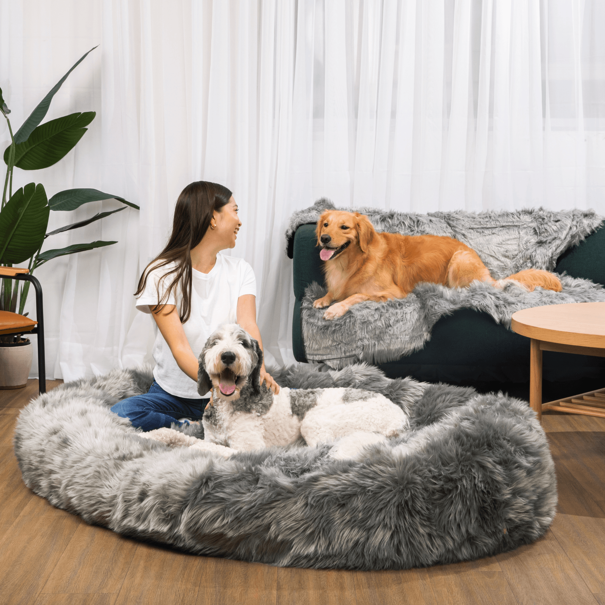 PupCloud™ Human-Size Dog Bed + Matching Waterproof Blanket Bundle - Charcoal Grey、mySite、solidvoid
