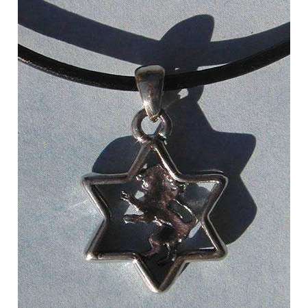 Michael Bromberg Lion of Judah in Star of David on Leather、mySite、topwebapps