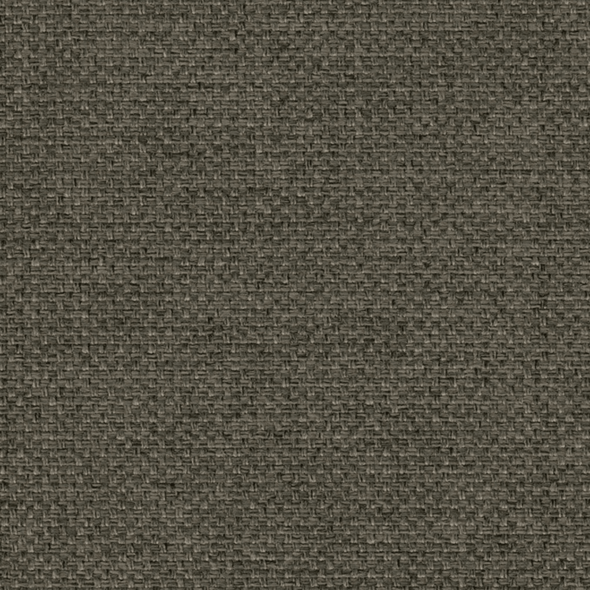 Grade B: Chess CH600、mySite、neckold