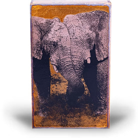 239: Sterling、mySite、g9winljtr