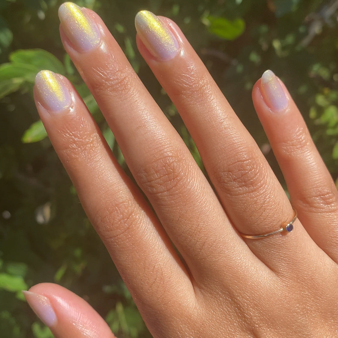 Internal - Shellphone bling、mySite、solidvoid