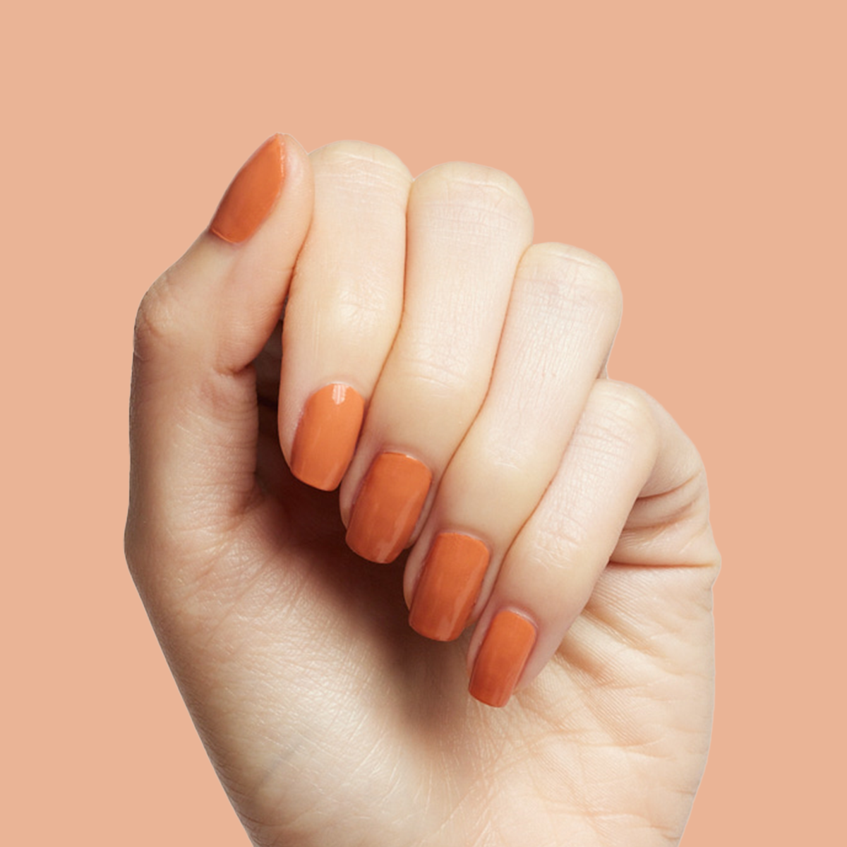 Canyon、mySite、solidvoid