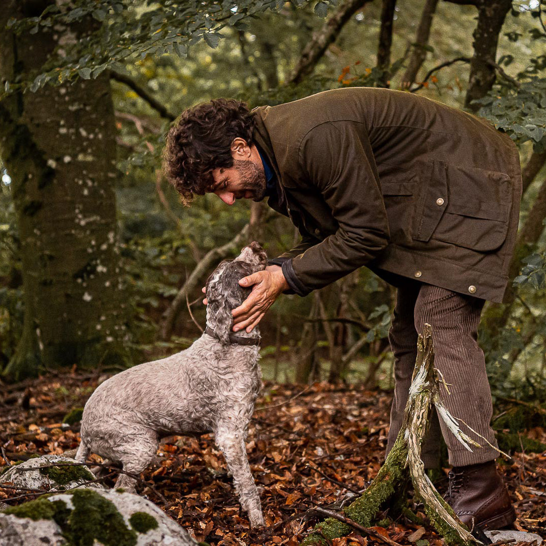  Sciostree、mySite、merchandisen