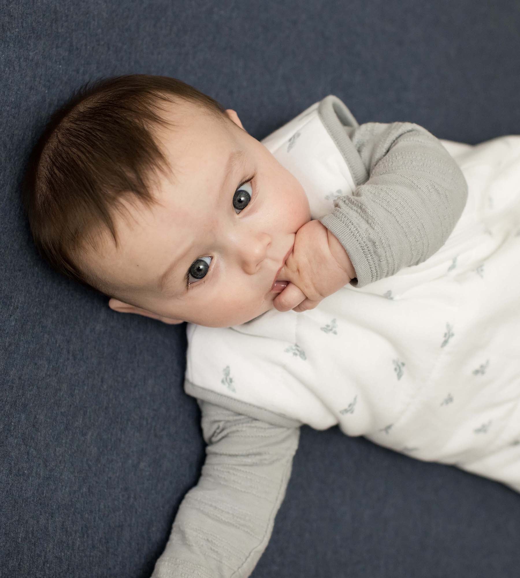 Solid Organic Cotton BEESNUG® Fitted Crib Sheet - Nightfall、mySite、g9winljtr