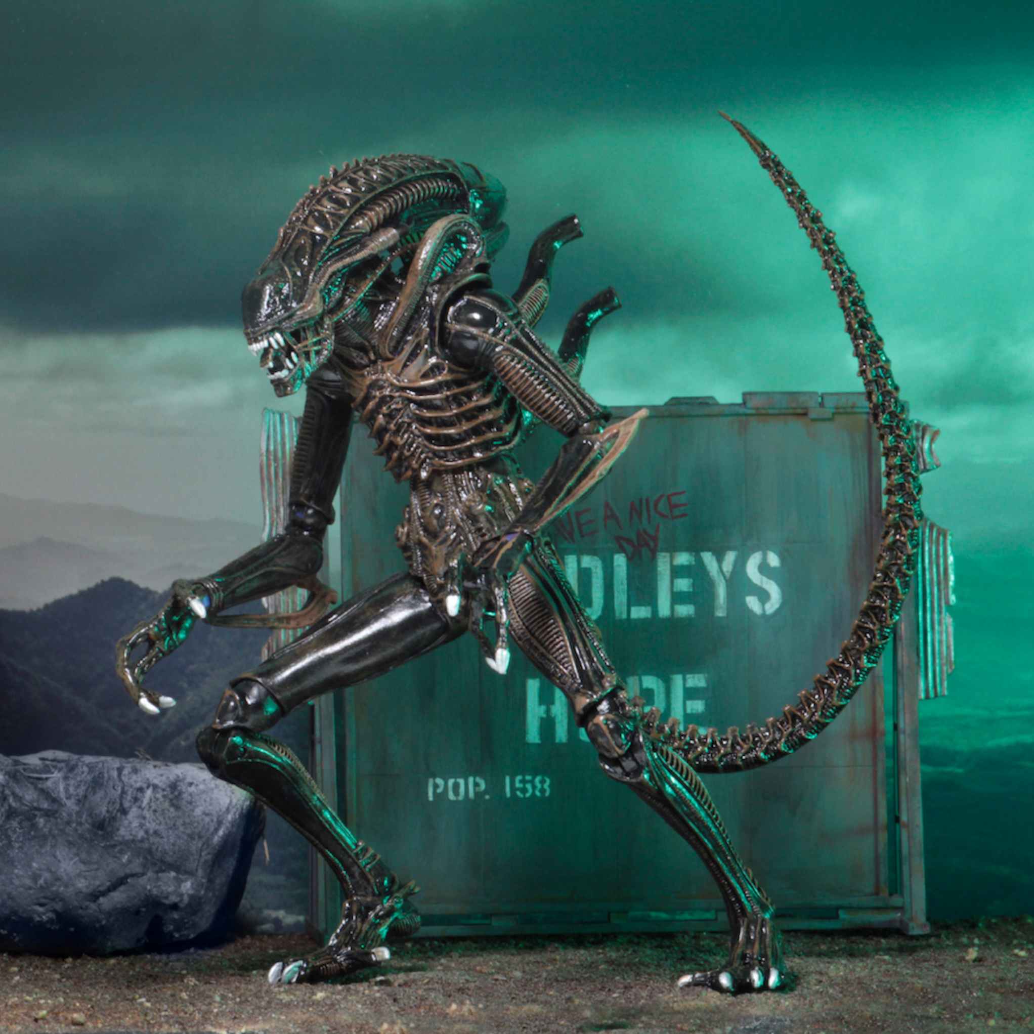 NECA Ultimate Aliens Warrior (Brown)、mySite、hgirdovlk