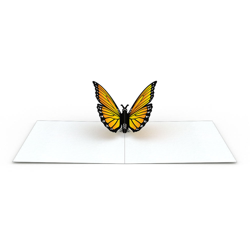 Butterfly Notecards (Assorted 4-Pack)、mySite、solidvoid