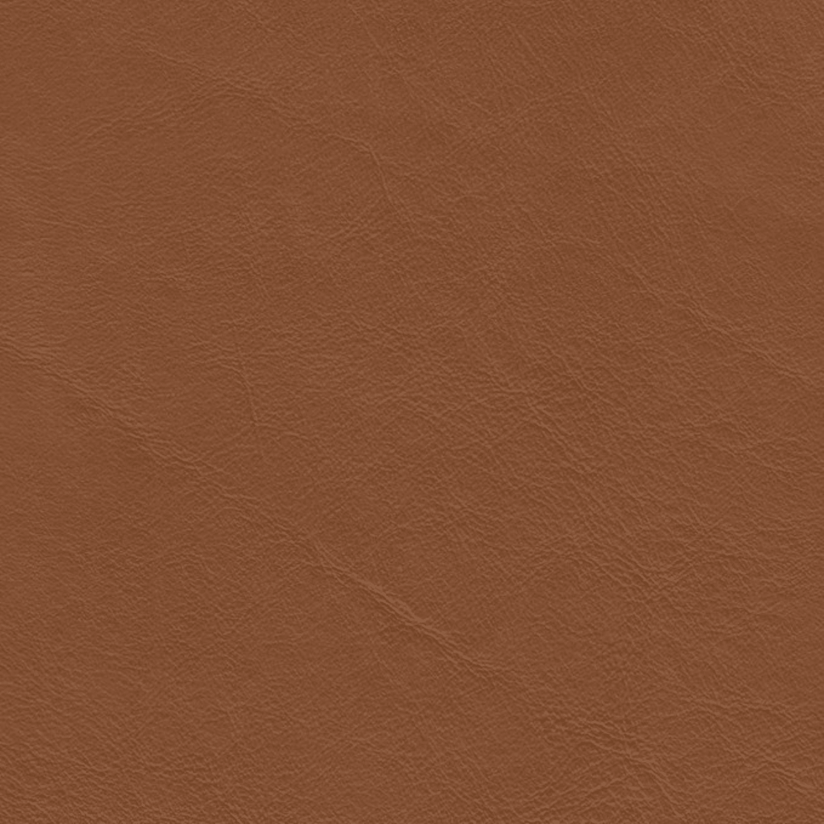 Whisky、mySite、neckold