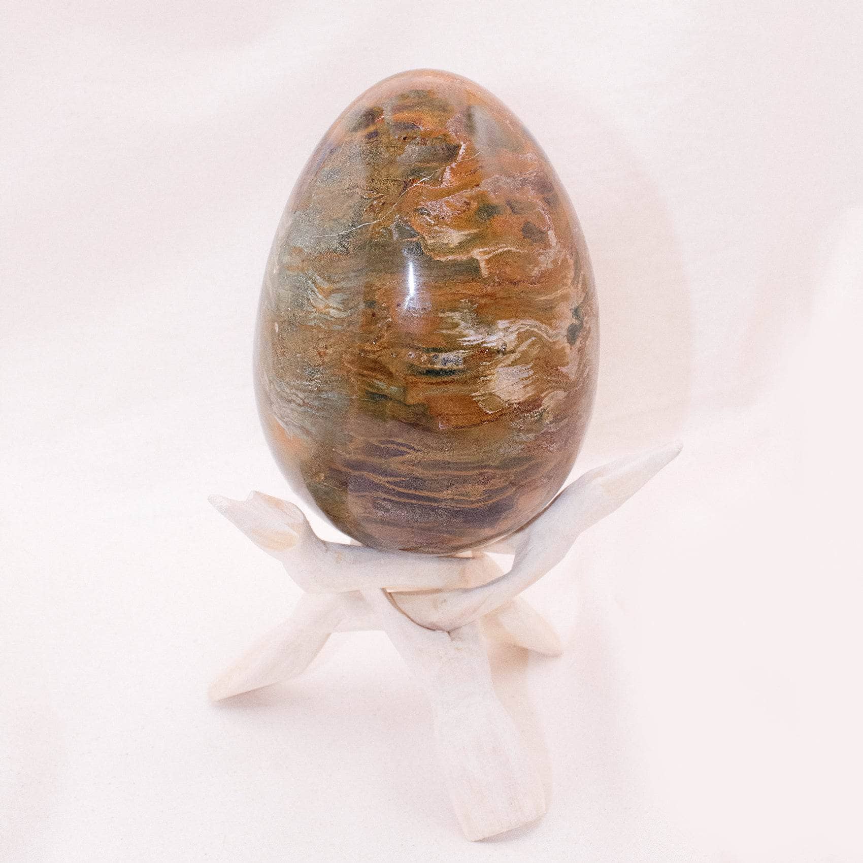Petrified Wood Egg - AAA Premium Quality、mySite、hinf8tx79