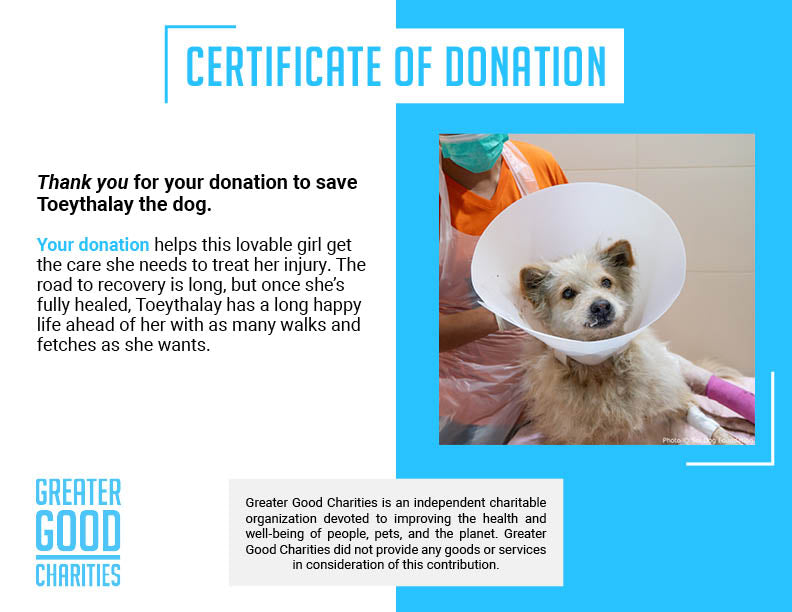 Funded: Save Toeythalay's Leg After Tragic Car Accident、mySite、camillekostekn