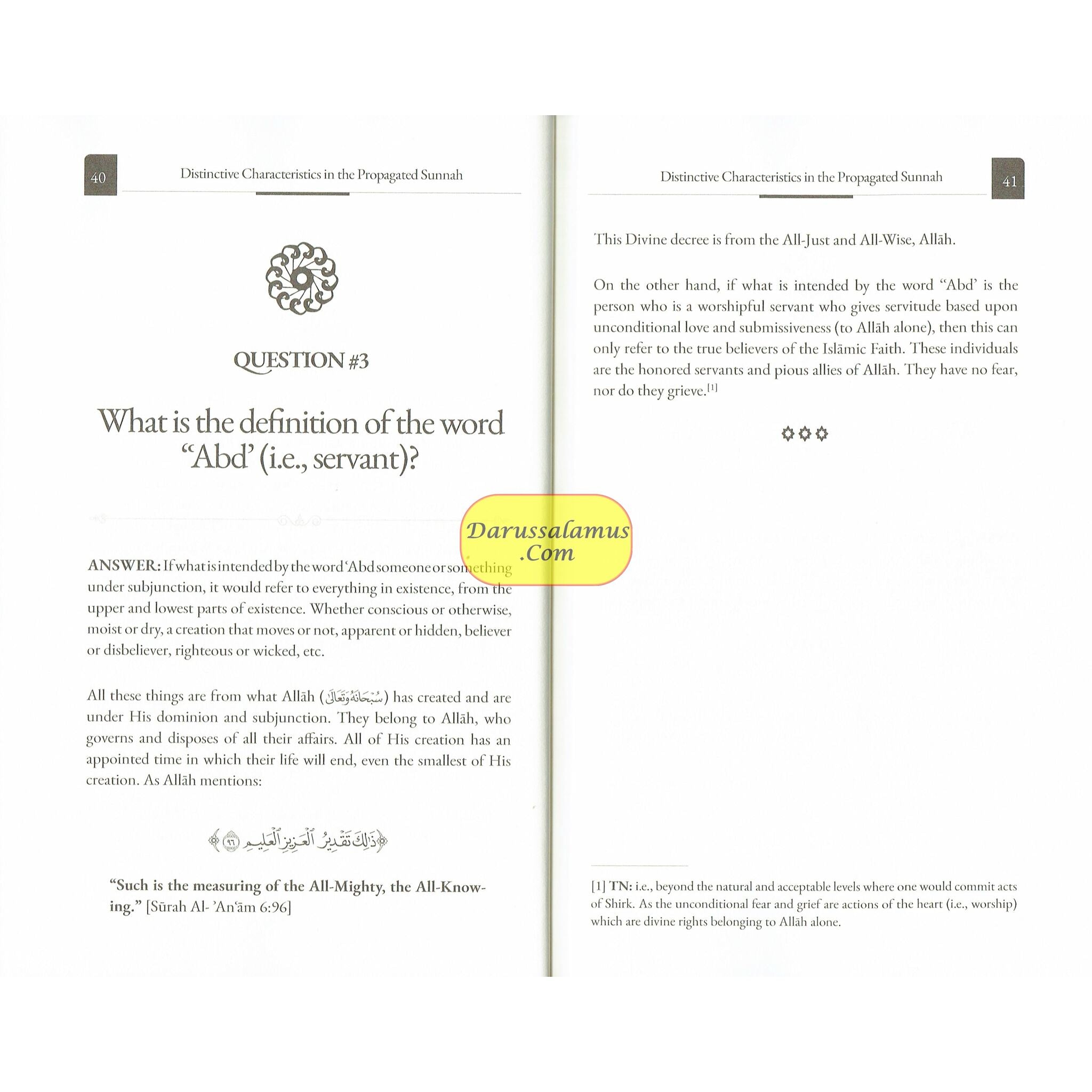 Distinctive Characteristics in the Propagated Sunnah defining the Aqidah of the Saved & Victorious Sect (Vol 1)、mySite、topwebapps