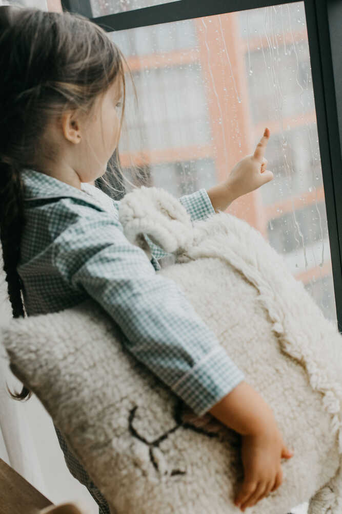 WOOL CUSHION PINK NOSE SHEEP、mySite、gigharbornorthrealestate