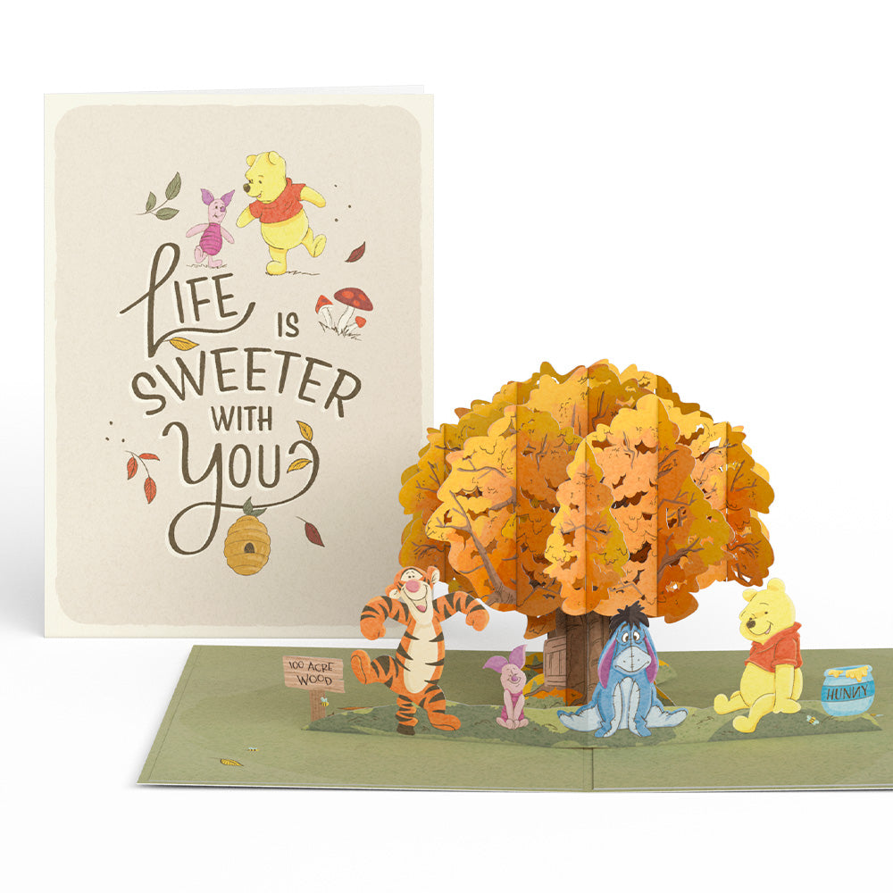 Disney's Winnie the Pooh Life Is Sweeter With You Pop-Up Card、mySite、solidvoid