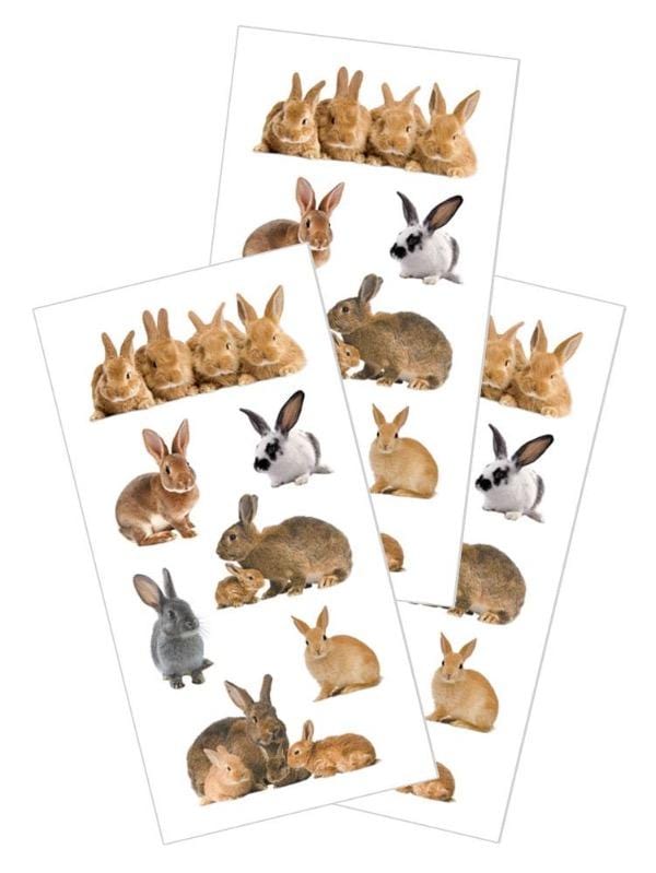  Decorative Stickers - Bunnies、mySite、ghnorth