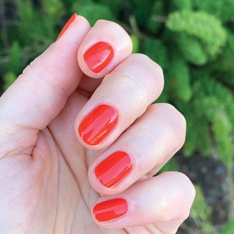 The Spring 2021 Set、mySite、solidvoid