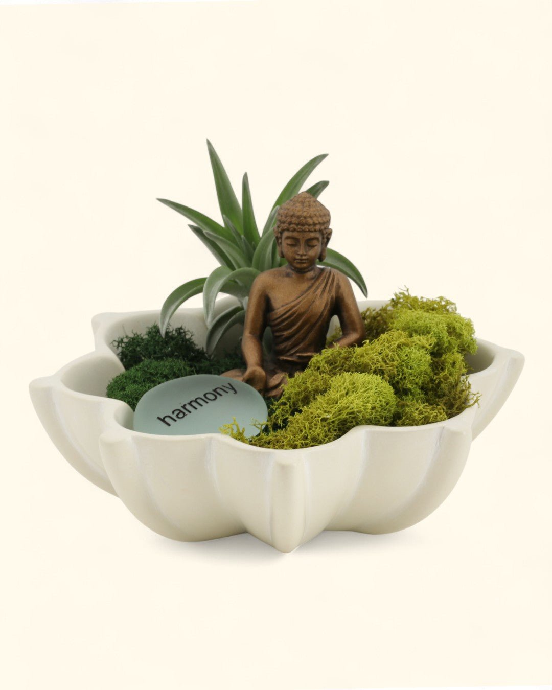 Harmony Zen Terrarium with Lotus Bowl、mySite、topwebapps