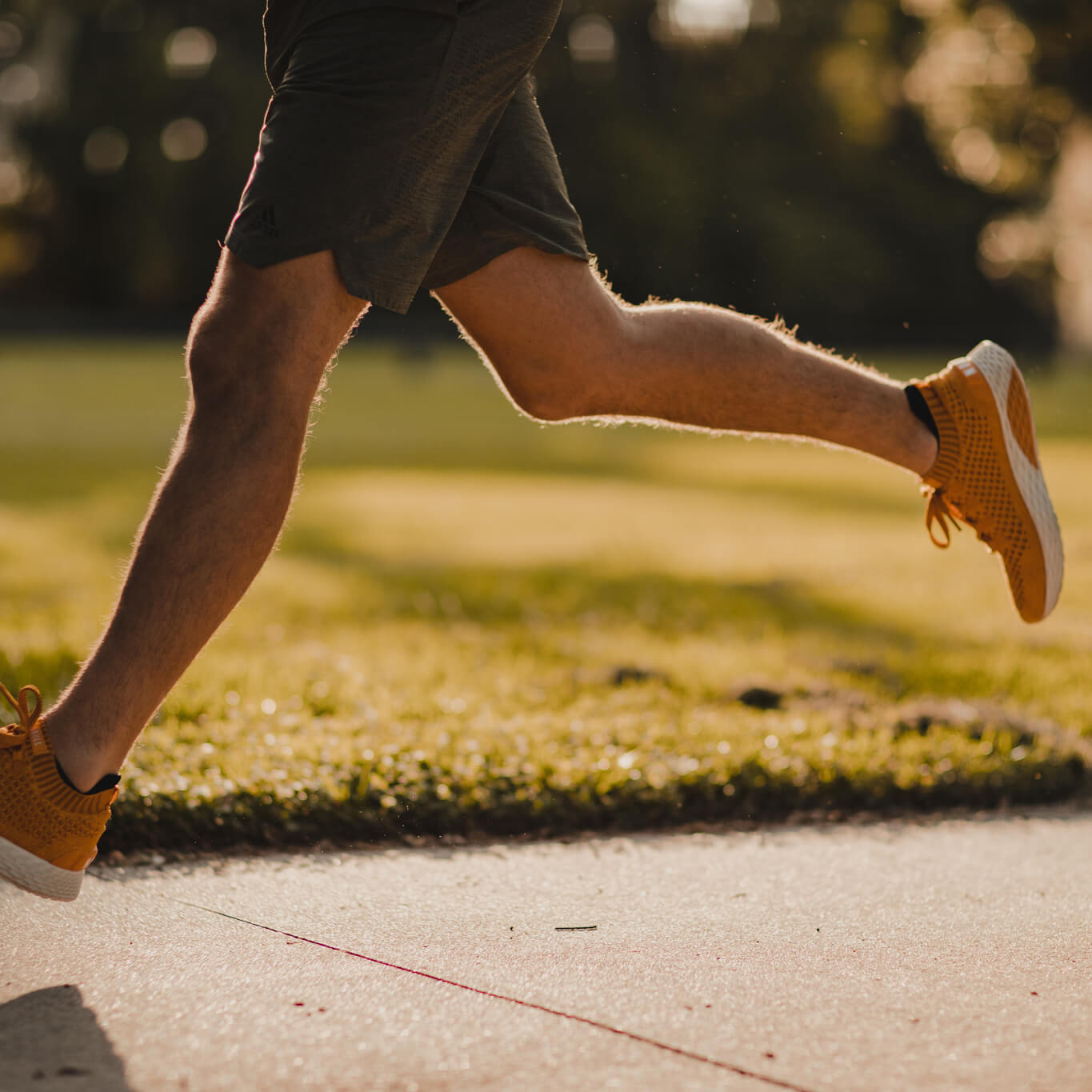  Titan Sock Pack、mySite、merchandisen