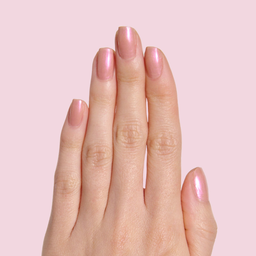 Sandy Scallop、mySite、solidvoid