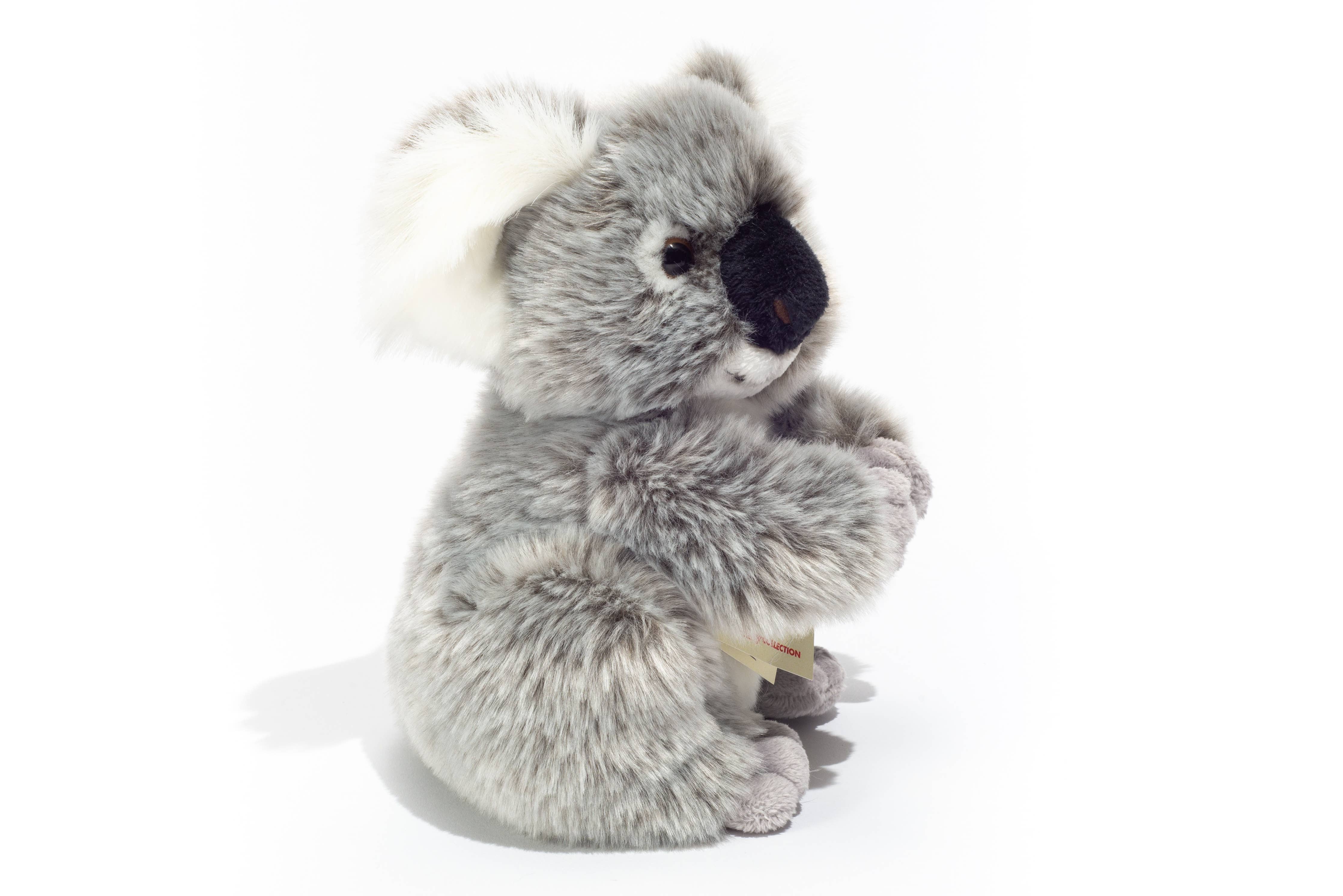 Cutest Plush Koala 21 cm by Teddy Hermann、mySite、g9winljtr